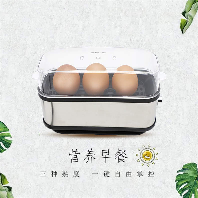 创维蒸蛋器家用多功能迷你蒸蛋机早餐神器（DF）