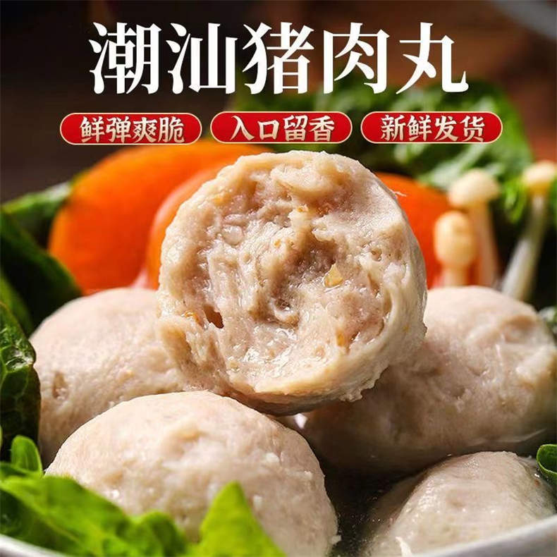 广东惠来手工猪肉丸500g/包*2包（DF）