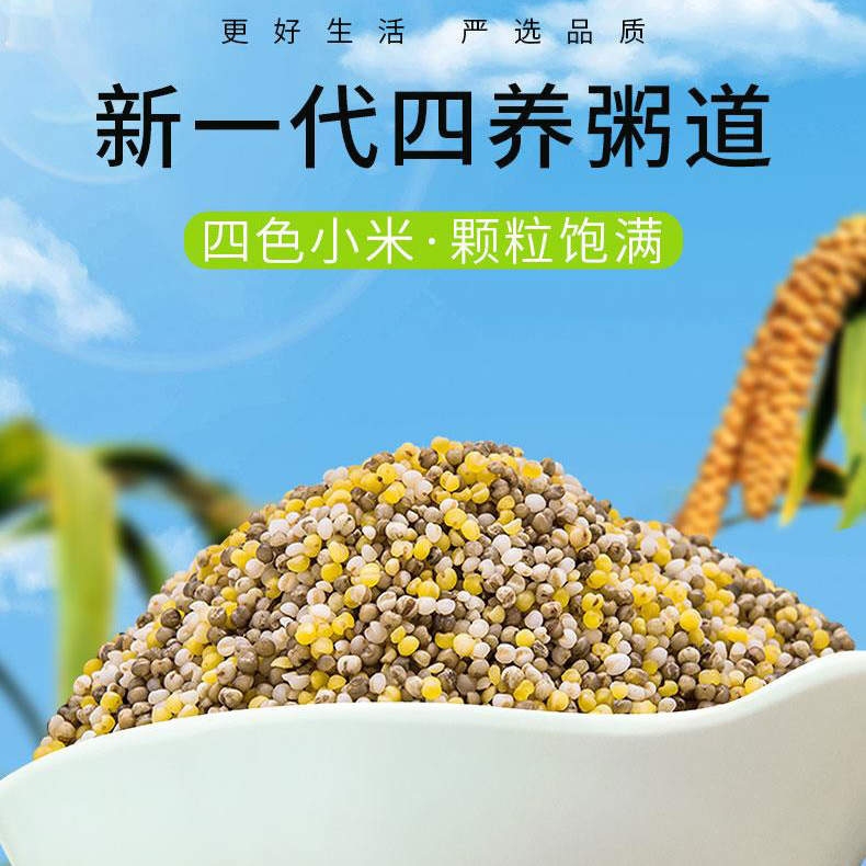 （BD）内蒙古赤峰有机四色小米