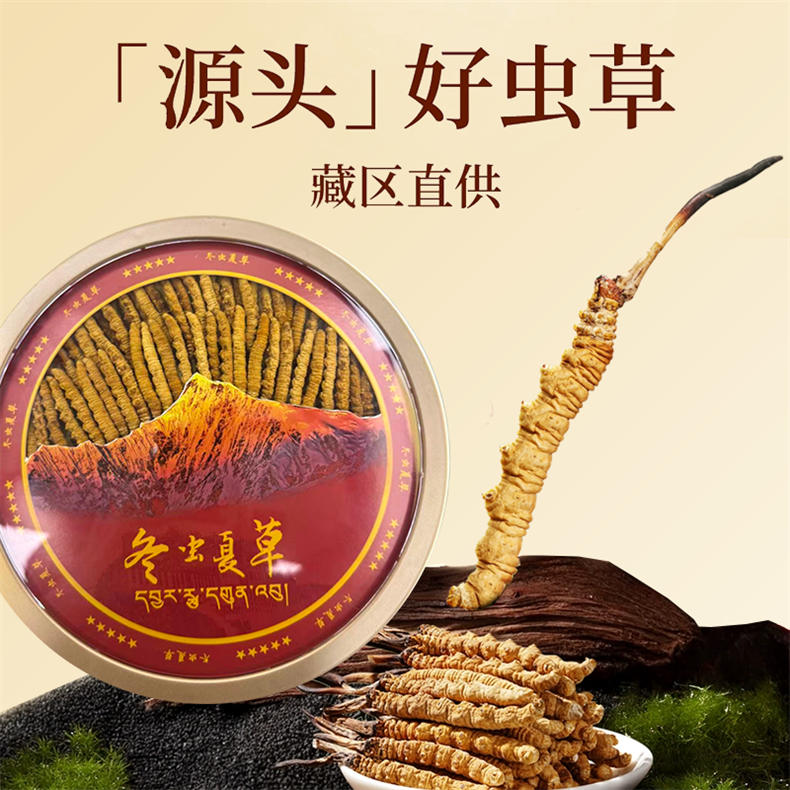 西藏那曲头茬冬虫夏草VIP超值组