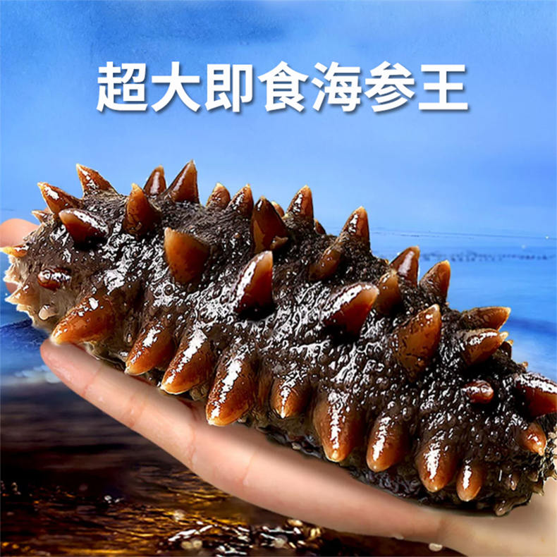 大连鲜食海参王/即食海参1500g【配送方式：提货券】（ZG）