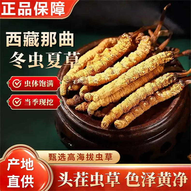 2026西藏那曲冬虫夏草100g（赠冬虫夏草10g、天麻75克/盒*8盒）（ZG）