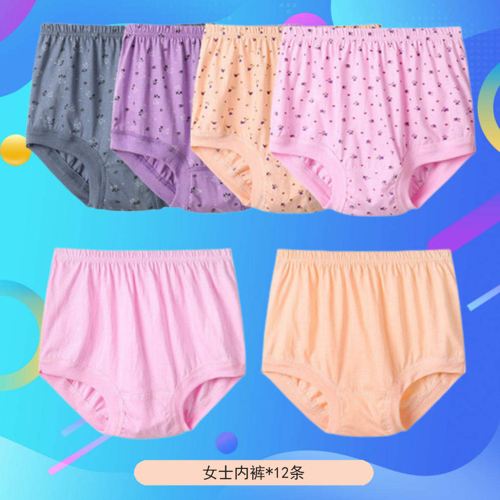 (BD)全棉高腰内裤女款Y