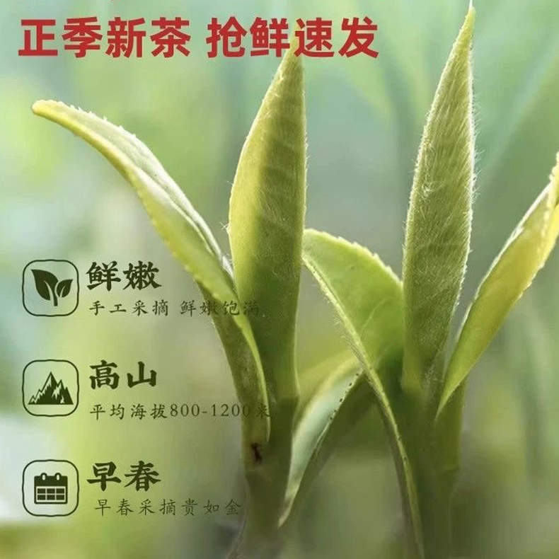 2026年中庆-西萃御品恩施土家族富硒特级硒茶特惠组