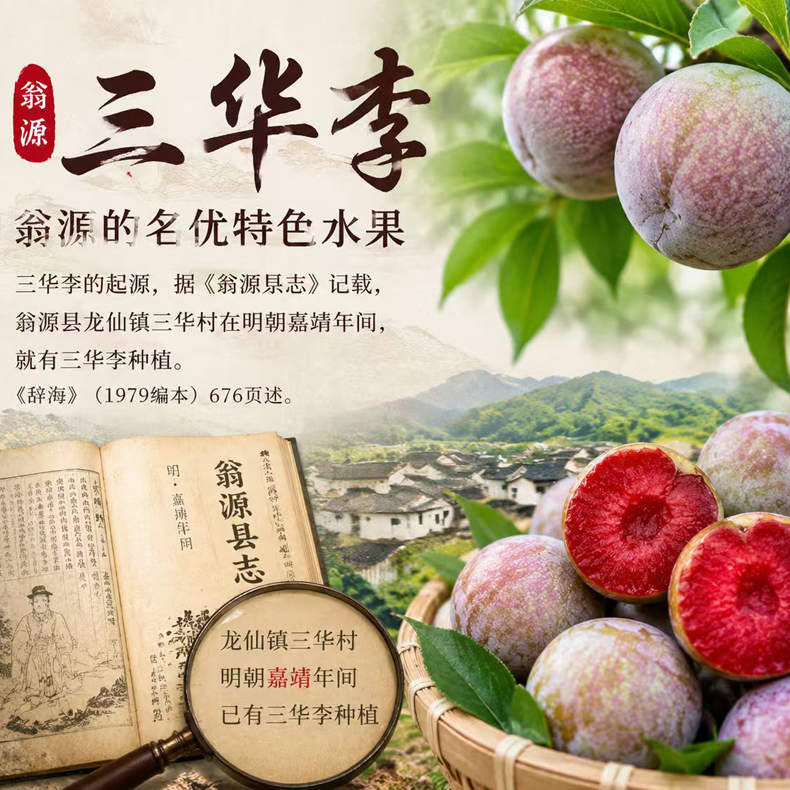 国家地标珍稀水果翁源三华李55g/粒*30粒（DF）
