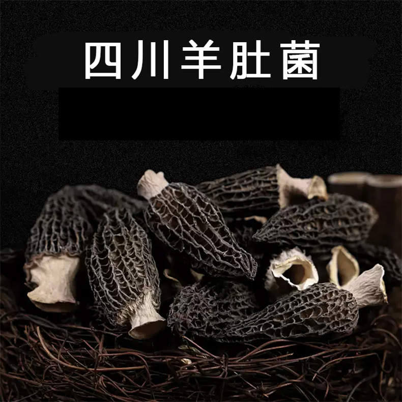 四川羊肚菌40g/罐*14罐（ZG）