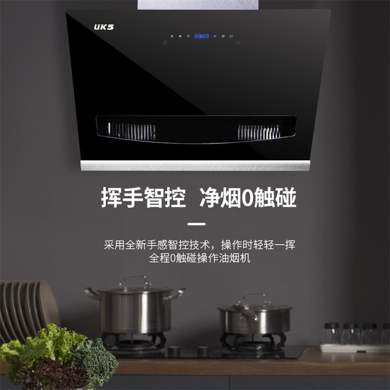 德国UKS智能体感双电机烟灶套组（赠锅具3件套、电压力锅*1）【配送方式：提货券】
